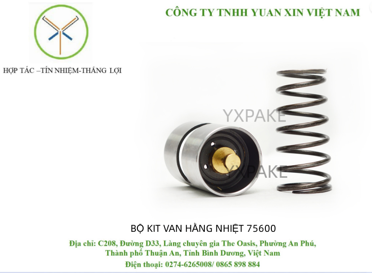 BỘ KIT VAN HẰNG NHIỆT 1619756000